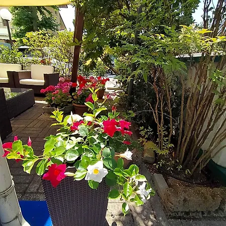 Hotel Capri Milano Marittima